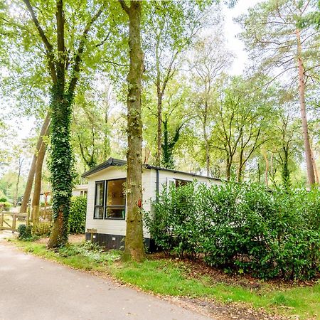 Veluwe Chalet Aan Het Bos - Kids - Pool - Dog Hoenderloo Exterior foto